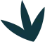 获取最新赛事动态 - 懂球帝